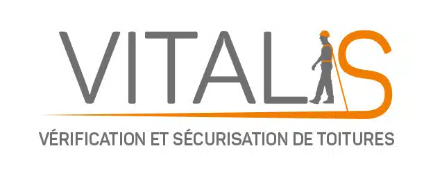 Logo Vitalis Sécurité